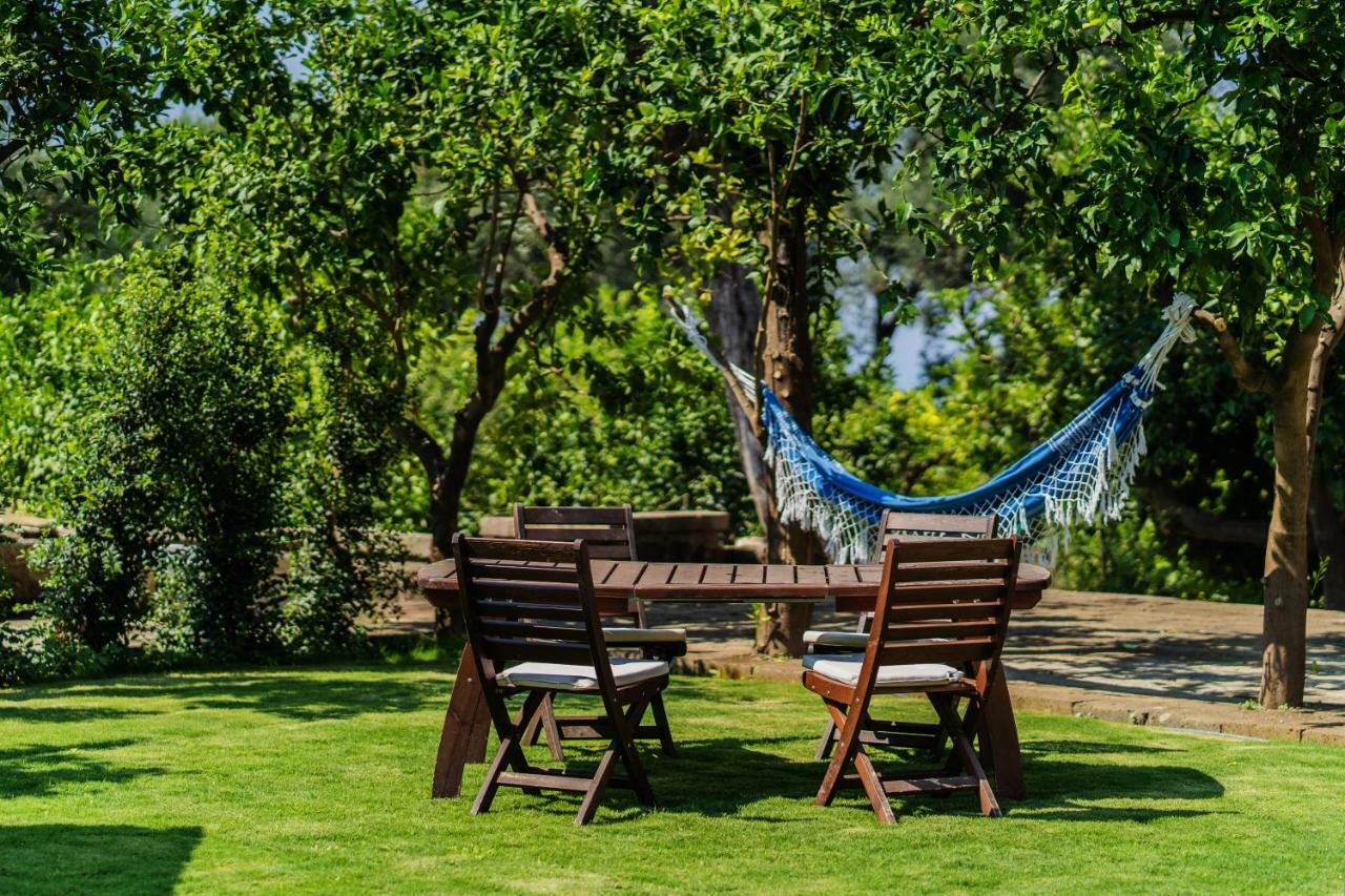 Bed and Breakfast Lemon Factor Сорренто Экстерьер фото